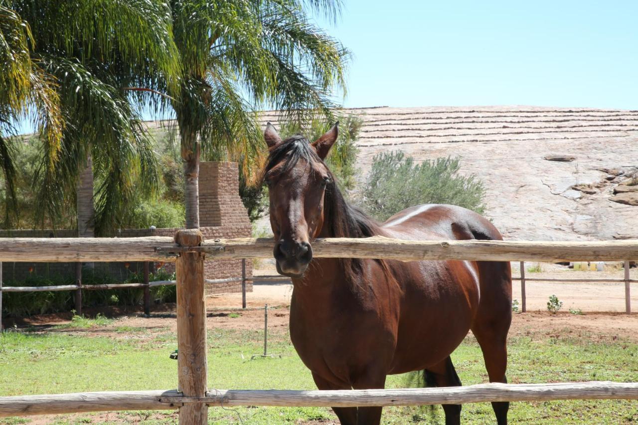 Augrabies De Oude Stoor Guesthouse מראה חיצוני תמונה